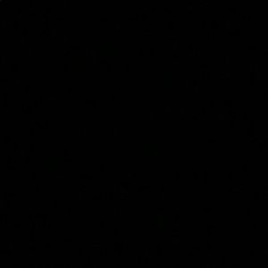 Meet your Posher, Dakota